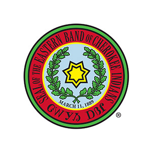 Tribe-Cherokee A secure lock protecting digital data, emphasizing Ahzzma CPA LLP's focus on data security.